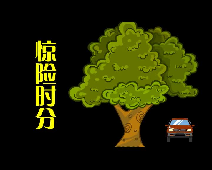 第38集 惊险时分