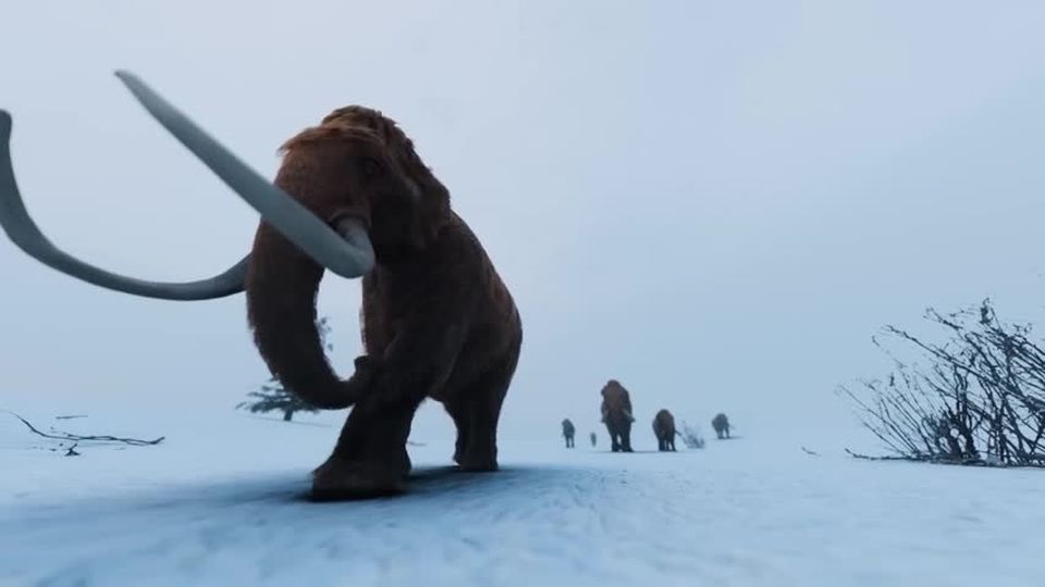 第11集 冰冻的森林书苑！集结号角（上）