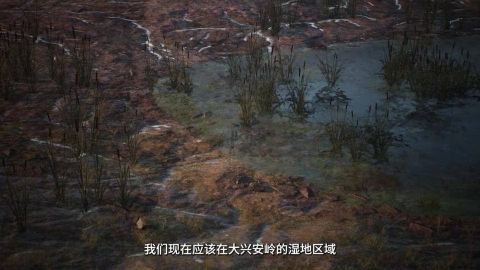 第14集 阅读之城里的冒险（下）