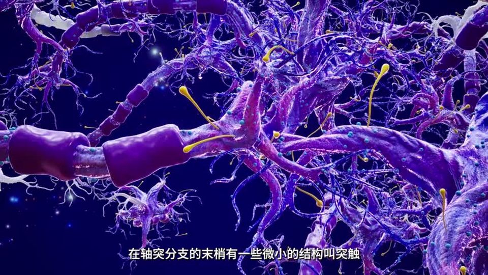 第23集 我们在少儿馆“肚子”里（下）