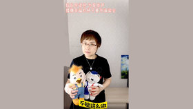 视频 成人组-02 范占英（女）讲《共和国70年儿童文学短片精选 岩石上的小蝌蚪》